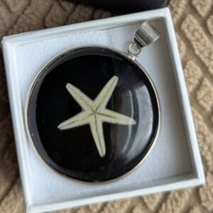 Black Starfish Pendant/silver 925. Elegant!